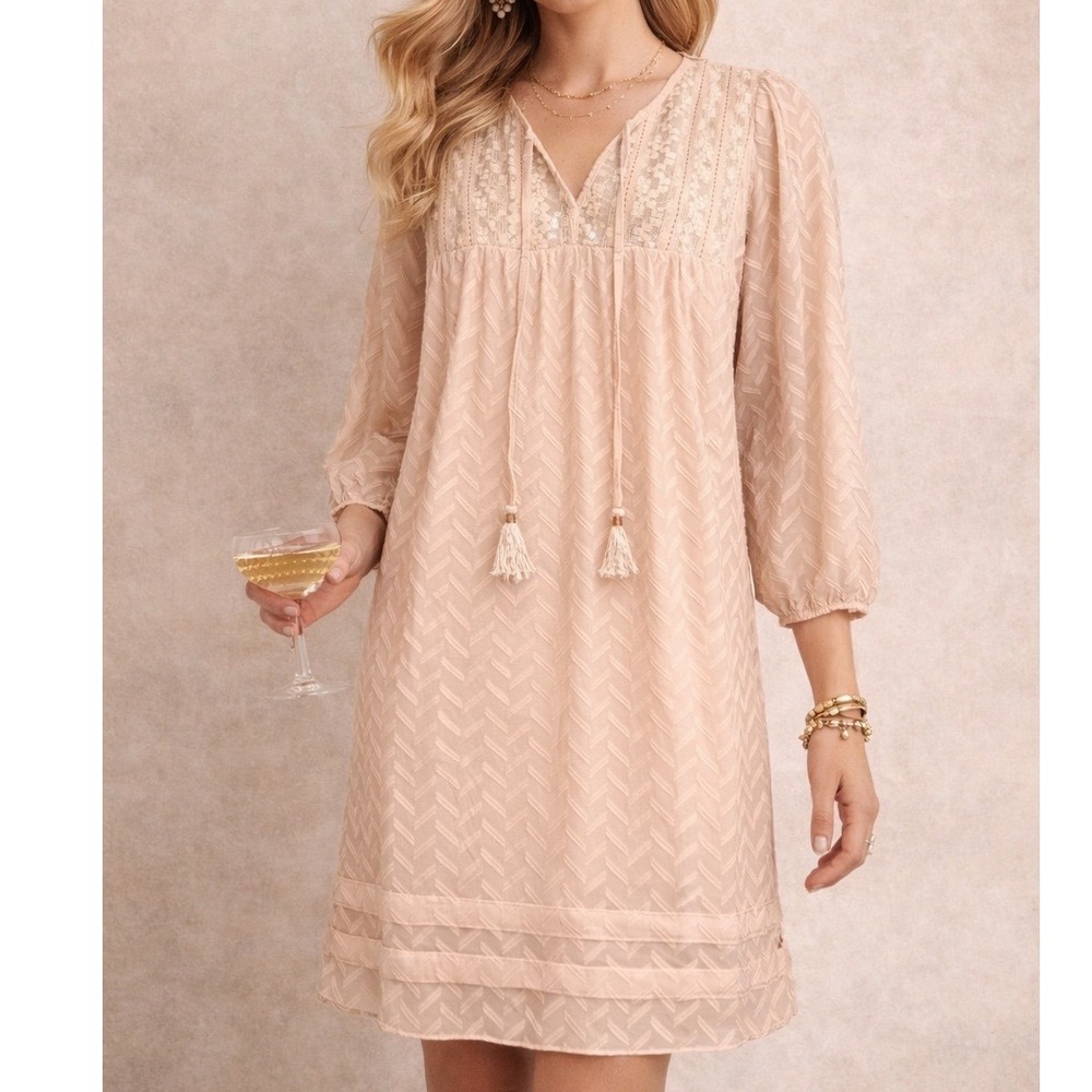 One September Anthropologie Blush Pink Chevron Lace Tassel Shift Dress Large J1